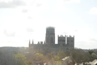 DSC_7191 (Large).JPG